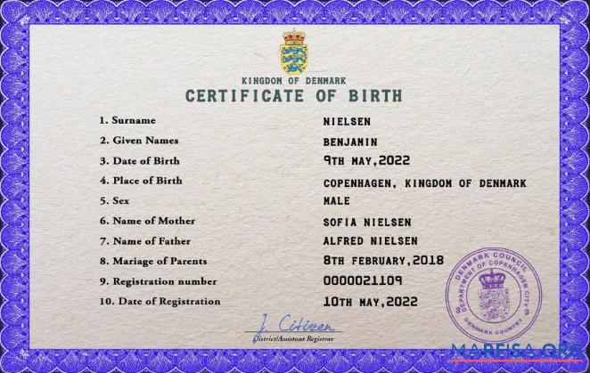 Realistic Denmark birth certificate PSD template